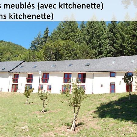 Gite Du Haut Cantal - Appartements Meubles Avec Kitchenette Et Chambres Sans Kitchenette Condat  Exterior photo