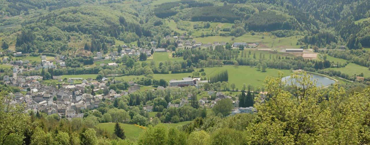 Gite Du Haut Cantal - Appartements Meubles Avec Kitchenette Et Chambres Sans Kitchenette Condat  Exterior photo