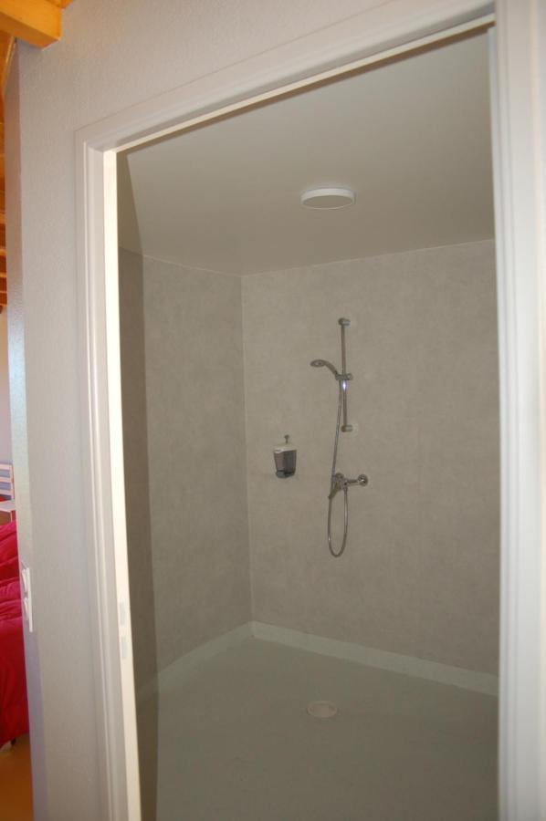 Gite Du Haut Cantal - Appartements Meubles Avec Kitchenette Et Chambres Sans Kitchenette Condat  Exterior photo